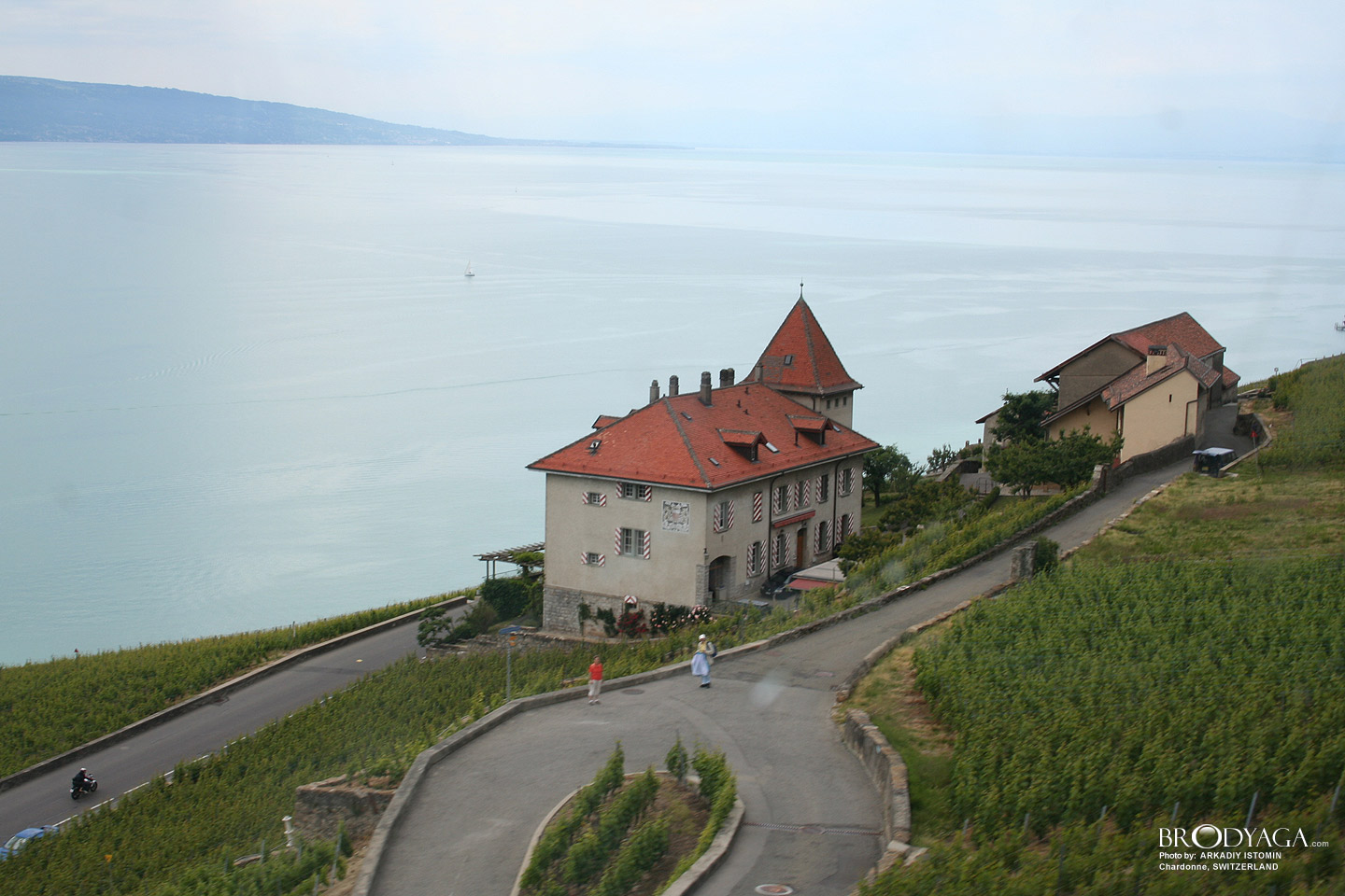 Chardonne
